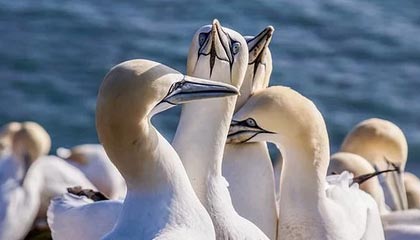 星空体育：与星空同速跃动的运动新纪元